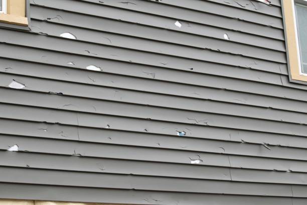 Best Insulated Siding Installation  in South Lebanon, OH